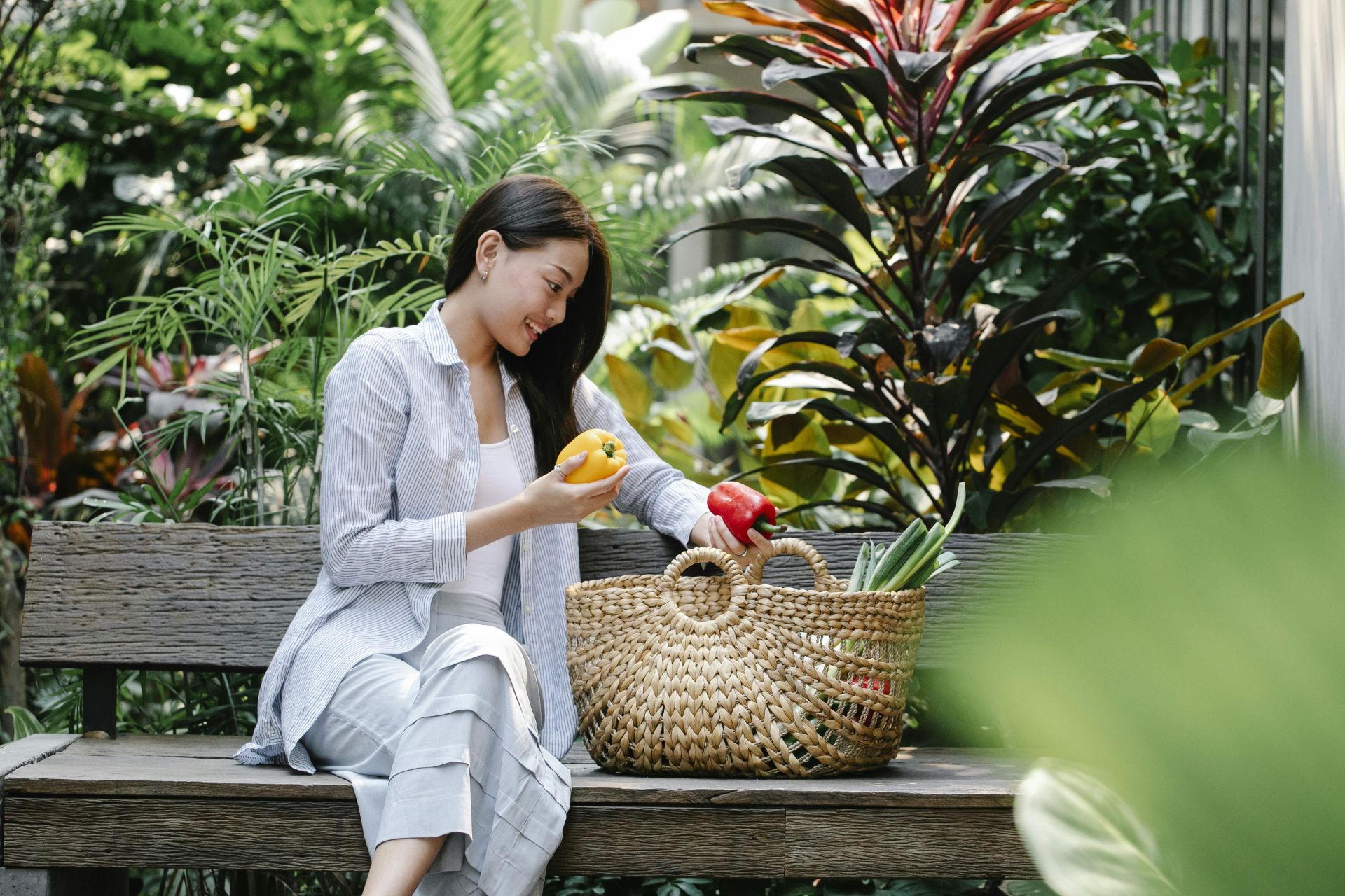 Content Asian female wearing casual outfit placing fresh yummy capsicums in wicker basket while sitting on wooden bench in verdant garden